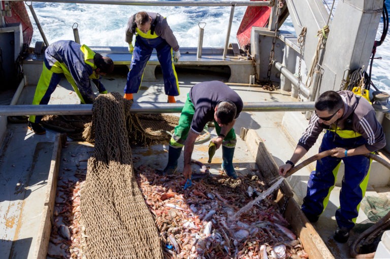 El proyecto RepescaPlas continuará en su segunda anualidad buscando una nueva vida a los residuos recuperados del mar