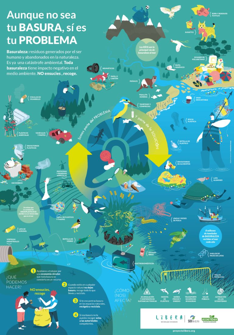 Recursos educativos en Marine-Litter Hub