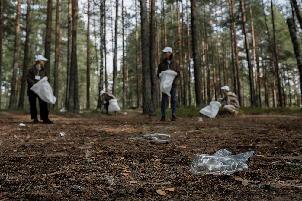 recogida de basura en el bosque por el equipo de vertidos cero