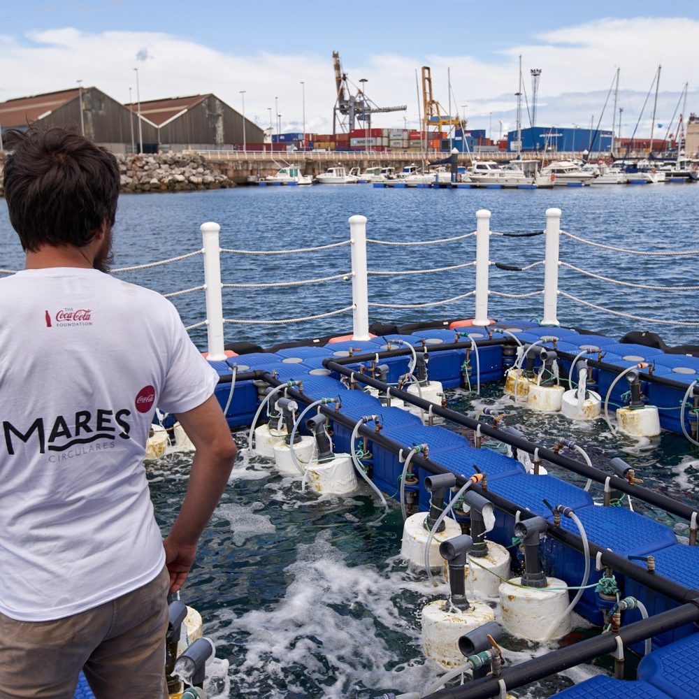 13.08.2020. Asturias. Gijón. La empresa Blue and Green Environment Solutions en colaboración con la asociación Vertidos Cero y participa en el proyecto Mares Circulares desarrollando un robot que limpia filtrando el agua del puerto deportivo de Gijón de residuos marinos, especialmente de microplásticos y mesoplásticos. Foto: Gogo Lobato.